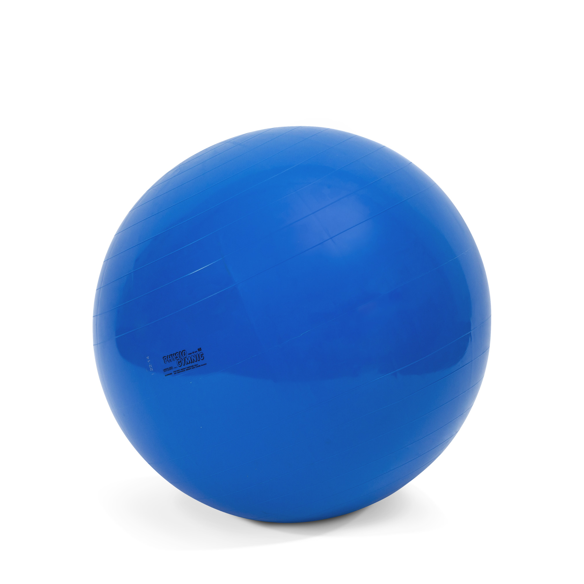 Physio-Gymnicbal, ø 95 cm